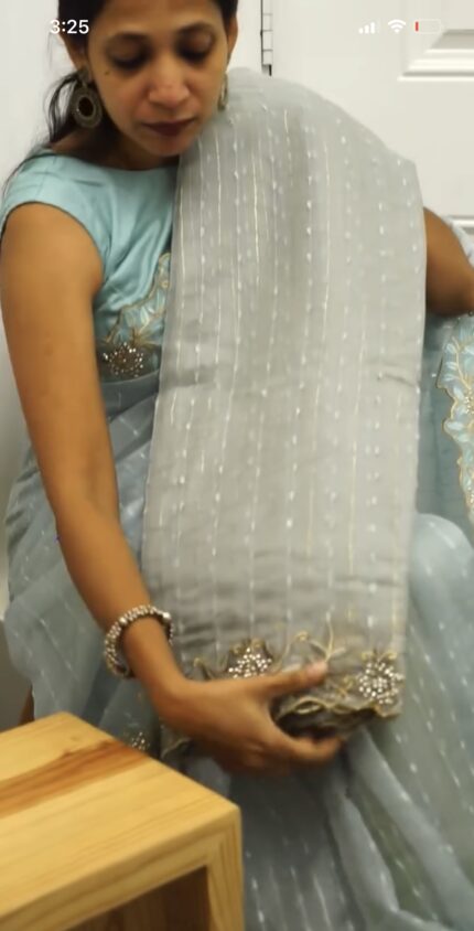 Organza saree