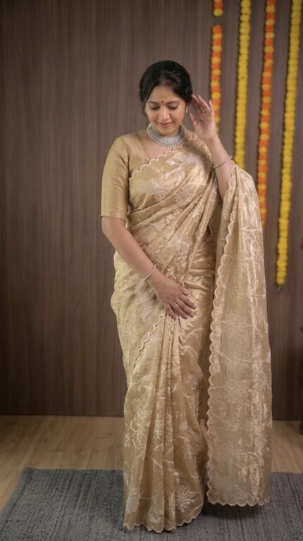 Turkish organza saree